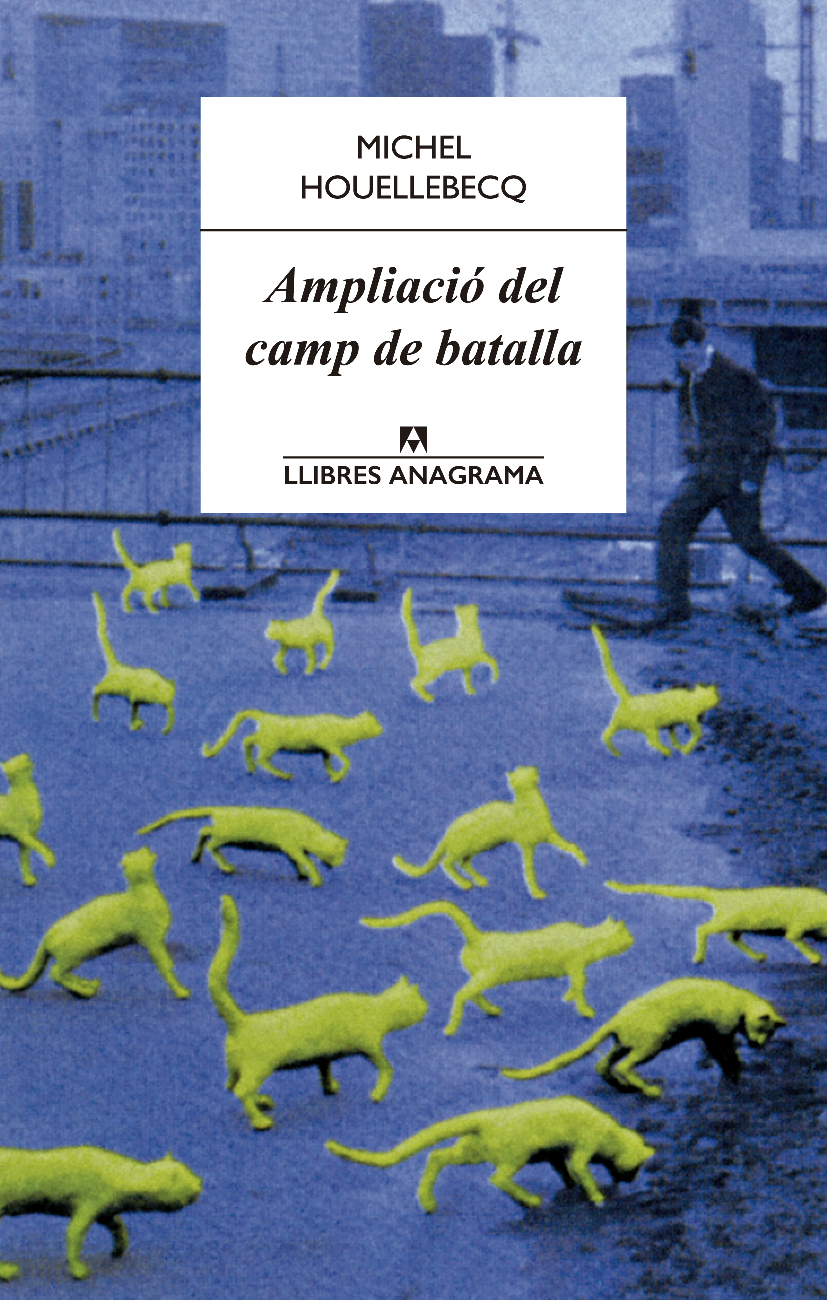 Ampliació del camp de batalla - Houellebecq, Michel - 978-84-339-1509-2 -  Editorial Anagrama