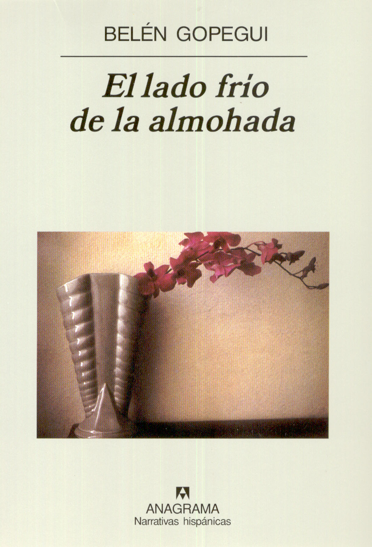 Escrutinio Desconocido Encarnar El lado frío de la almohada - Ruiz de Gopegui, Belén - 978-84-339-6865-4 -  Editorial Anagrama